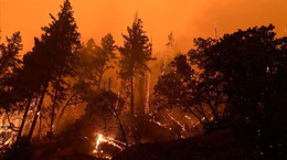 Meteoroloji kırmızı kodla uyardı: O bölgelerde orman yangınlarına dikkat!